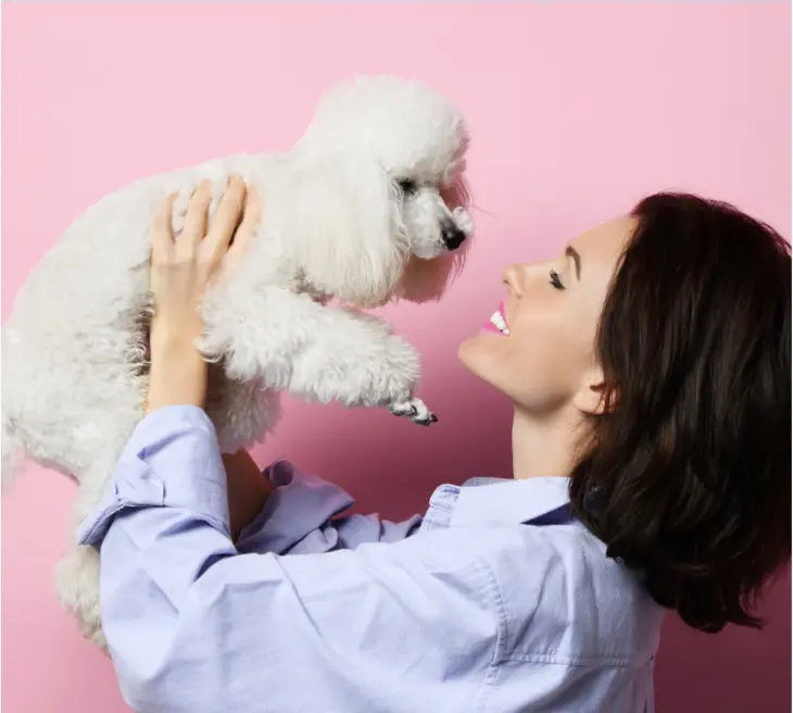 Frise Grooming & Pet Shop-Salon Canin Timișoara | Tick Removal and Prevention Tips