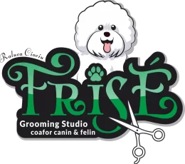 Logo_Frise_Verde_Final_FB nume negru